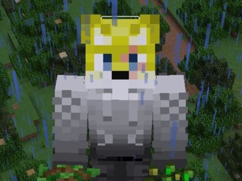 全く遊ばないマインクラフトのスキン。我ながら自信作