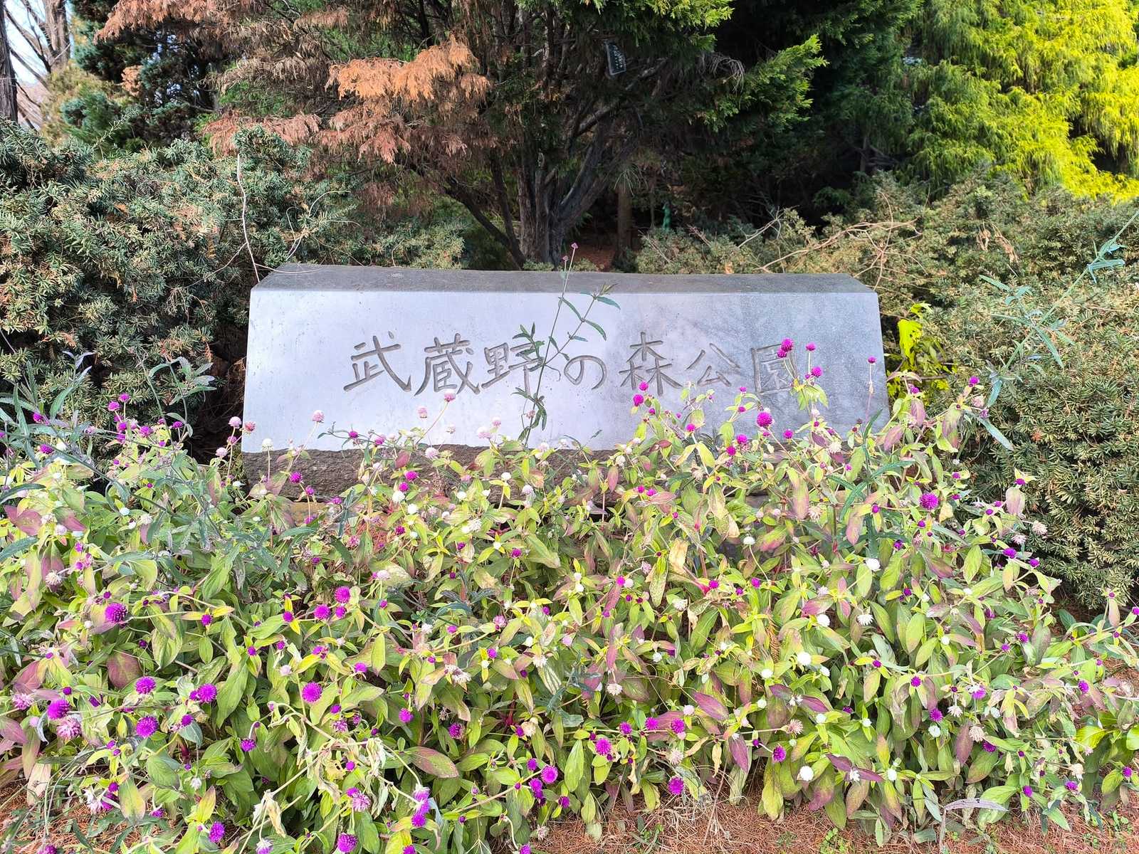 武蔵野森公園