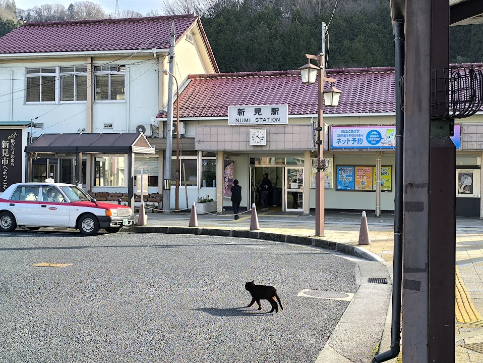 新見駅前。黒猫ちゃんがいた
